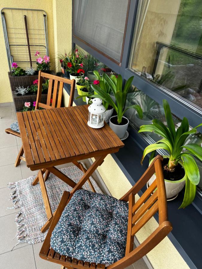פלאנגה Geliu Apartamentai מראה חיצוני תמונה