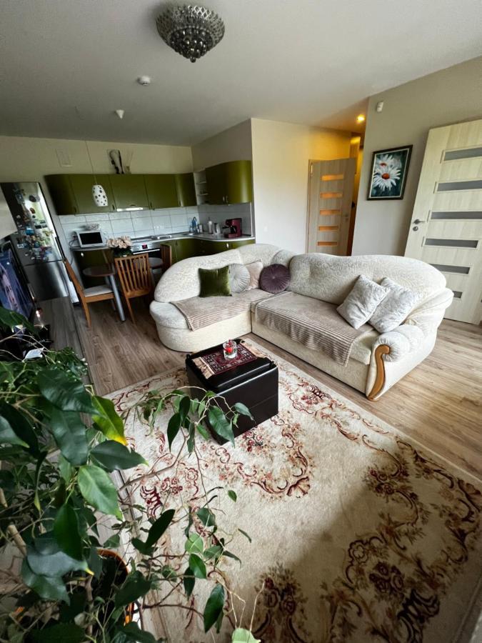 פלאנגה Geliu Apartamentai מראה חיצוני תמונה